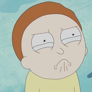 Meet your Posher, Benjamin